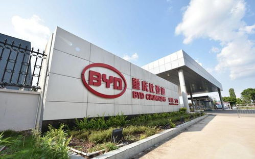 走进弗迪电池重庆工厂 解密比亚迪刀片电池与重庆软件开发的双重驱动